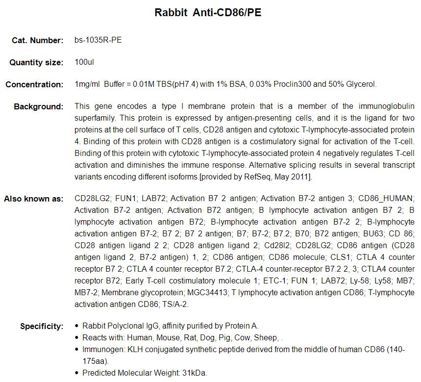 Rabbit Anti-CD86/PE Conjugated antibody