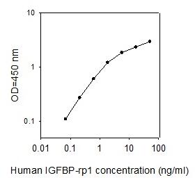 Human IGFBP-rp1/IGFBP-7 ELISA