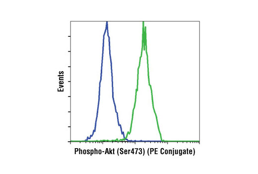 Phospho-Akt (Ser473) (D9E) XP Rabbit mAb (PE Conjugate)