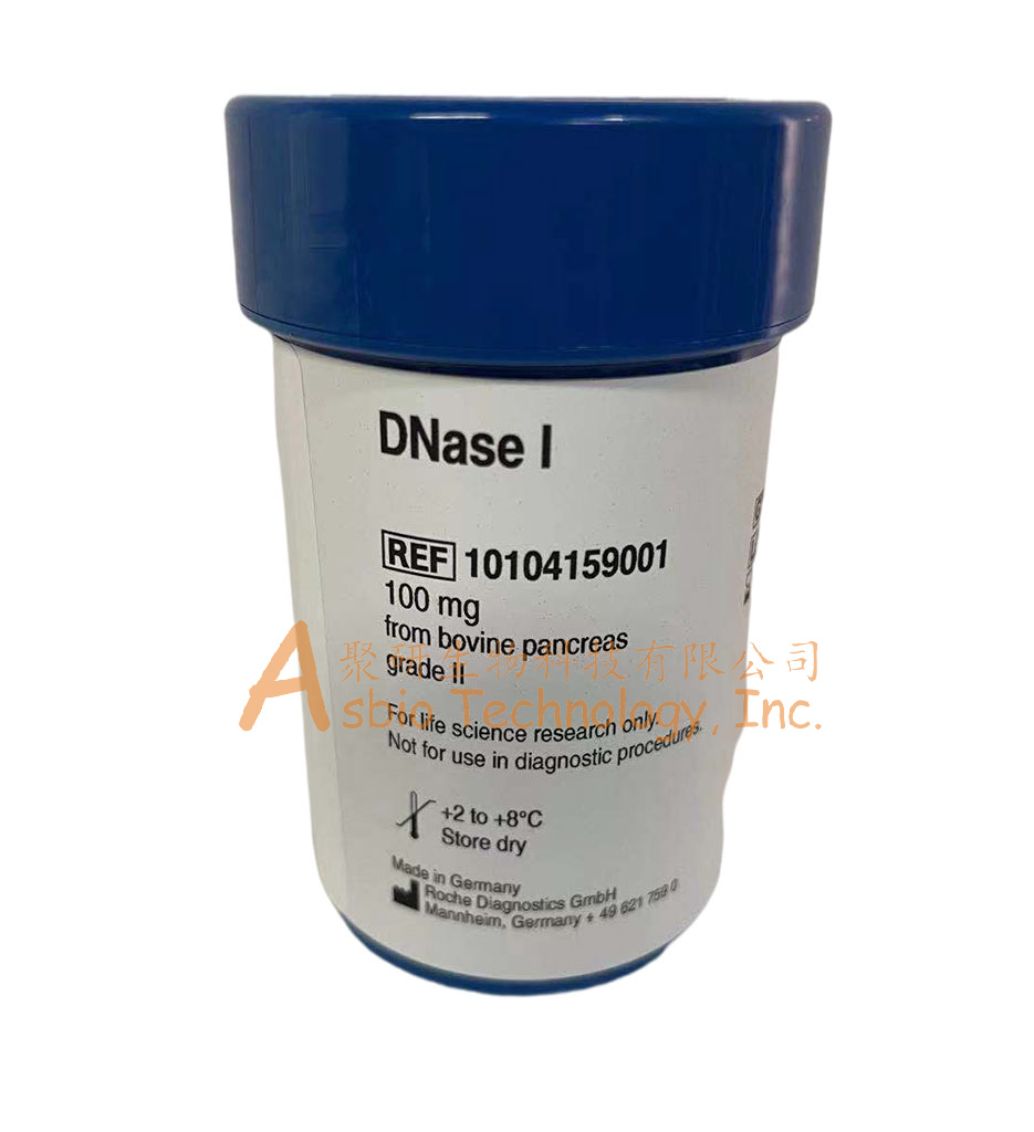DNase I