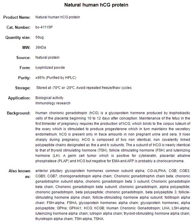人绒毛膜促性腺激素(b HCG)/人HCG天然蛋白