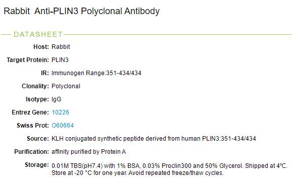 PLIN3抗体