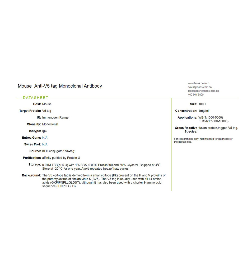 V5-tag标签单克隆抗体